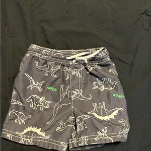 Toddler dinosaur bathing suit .